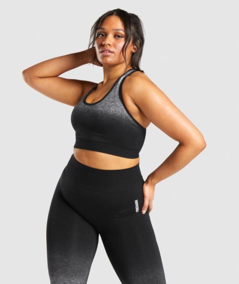 Women's Gymshark Adapt Ombre Seamless Sports Bra Black | NZ 4GBOCZ